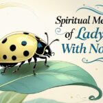 10 Spiritual Meanings of Ladybug With No Spots Explained