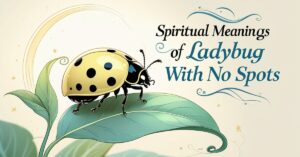 10 Spiritual Meanings of Ladybug With No Spots Explained