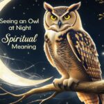 Seeing an Owl at Night Spiritual Meaning