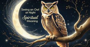 Seeing an Owl at Night Spiritual Meaning