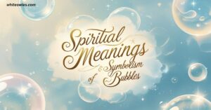 24 Spiritual Meanings Symbolism of Bubbles