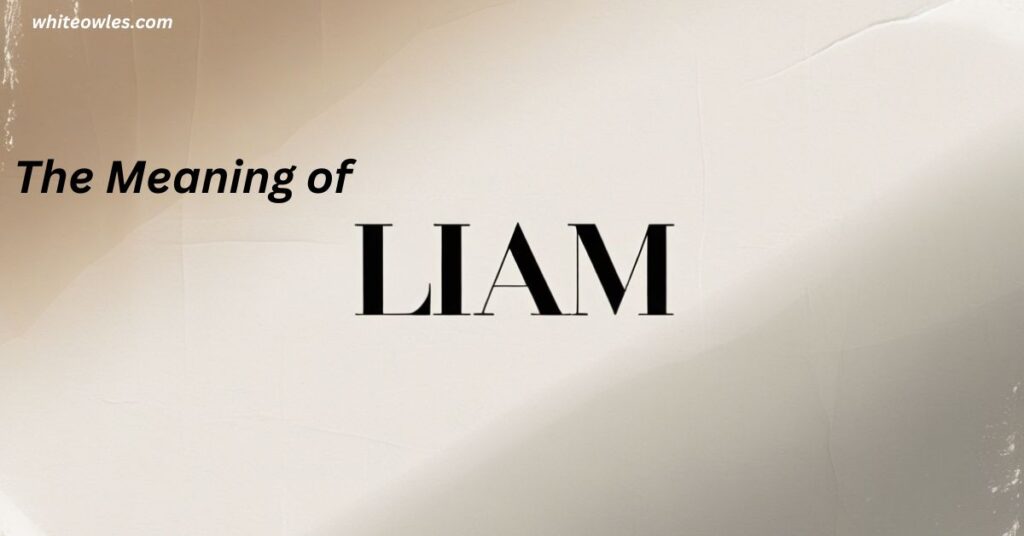 The Meaning of Liam