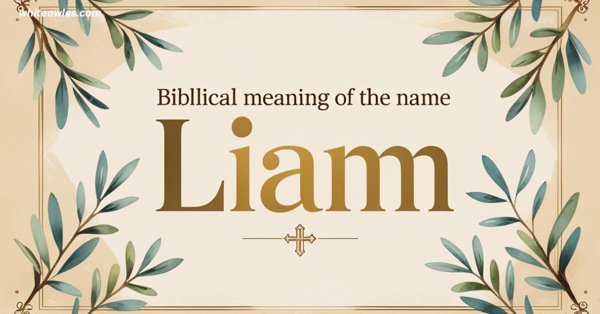 The Biblical Meaning of the Name LIAM