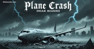 Witnessing Plane Crash Dream Meaning Biblical 2025 : Spiritual Insights
