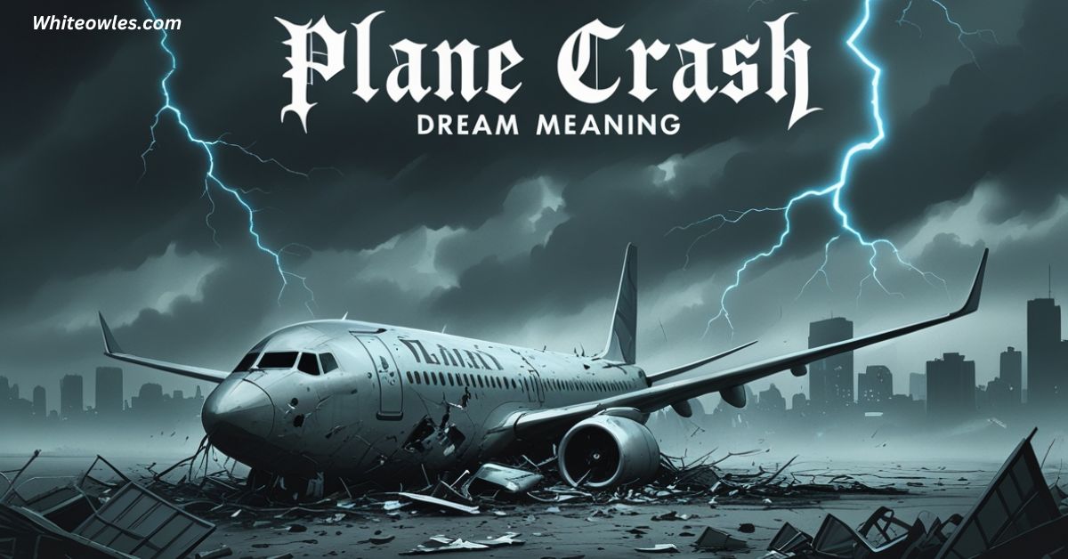 Witnessing Plane Crash Dream Meaning Biblical 2025 : Spiritual Insights